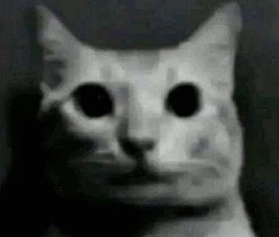 <a href="/endgametcg/">ENDGAME</a> When u sit down for ur round and see ur up against TEAM ENDGAME