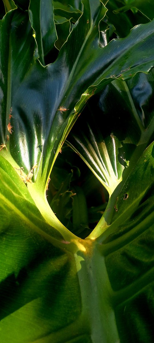 ...a primera vista...