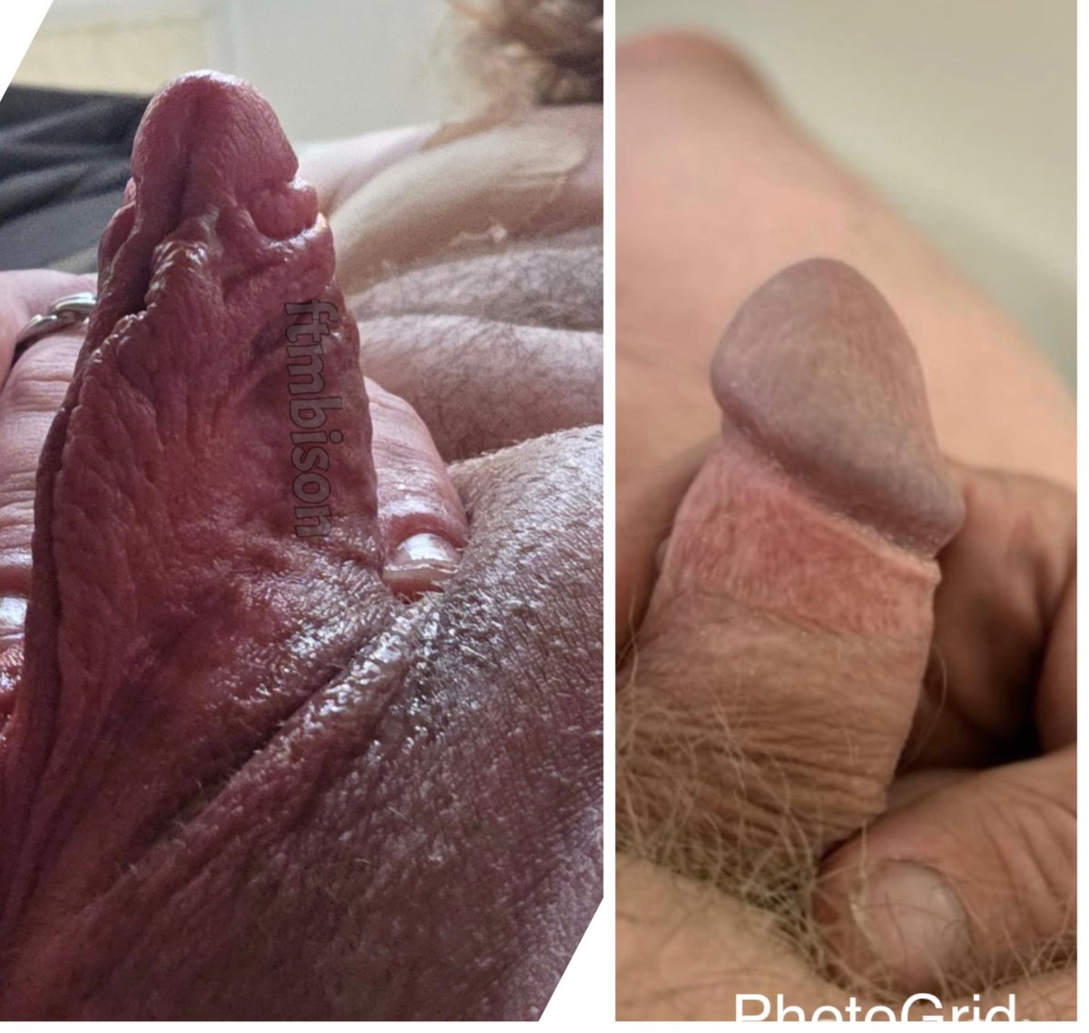 @smldckbiboi555 (@smldckbiboi555) on Twitter photo When <a href="/ftmbison/">Bison ππ³οΈββ§οΈπ¦¬ 10$ Fansly π</a> asserts his #dominance over me! Itβs #mindblowing #ftm #tdick vs #micropenis #sizecomparison #erect When <a href="/ftmbison/">Bison ππ³οΈββ§οΈπ¦¬ 10$ Fansly π</a> asserts his #dominance over me! Itβs #mindblowing #ftm #tdick vs #micropenis #sizecomparison #erect