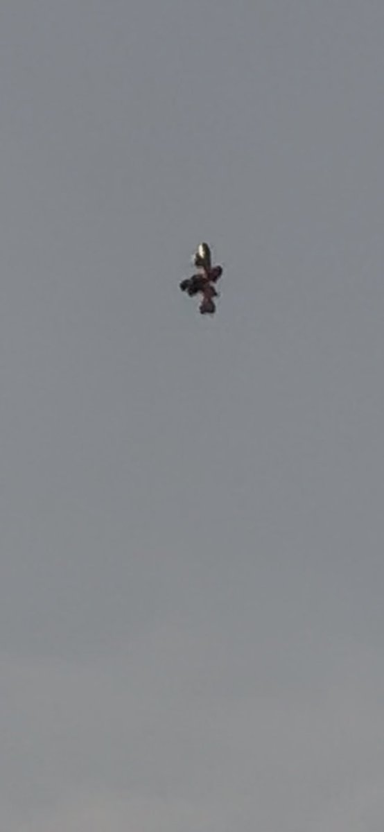 patrickjpf's tweet image. UFO? Anyone know what this is in Springfield, MO?