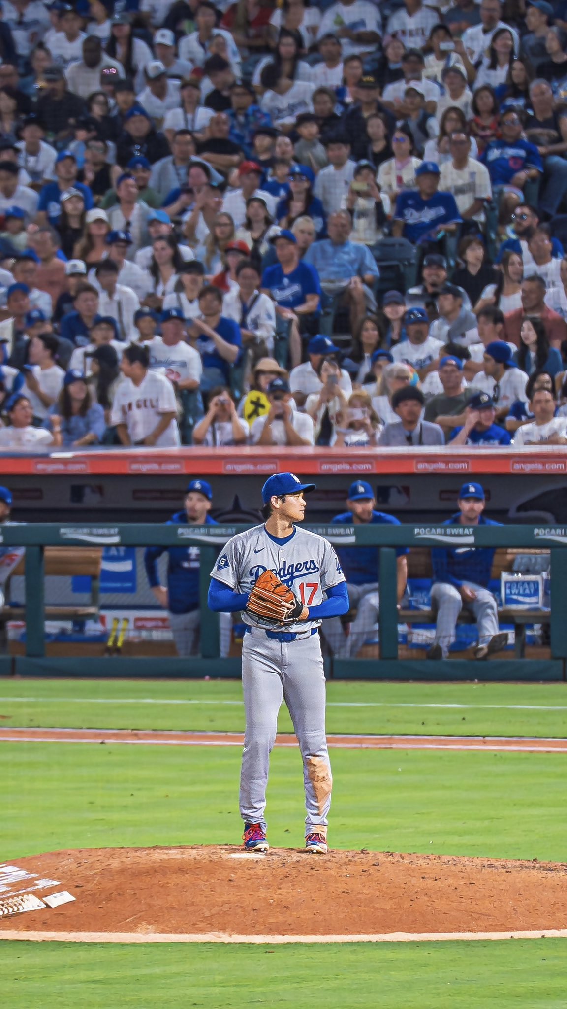 GyaDdUNbIAAlHJc?format=jpg&name=large Shockwaves in L.A.: Dave Roberts Slams Shohei Ohtani After Dodgers’ Loss to Blue Jays — And Ohtani’s Fiery Response Stuns Fans