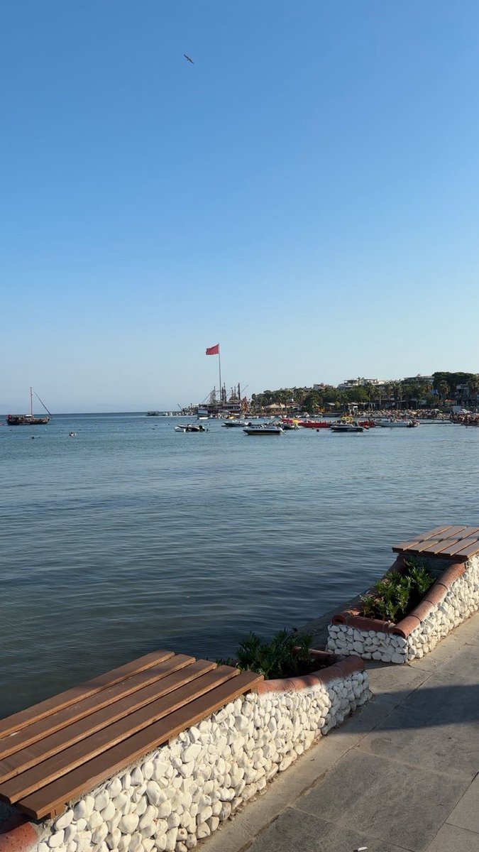 Cʀʏᴘᴛᴏ Aʏᴄᴀɴ tweet media