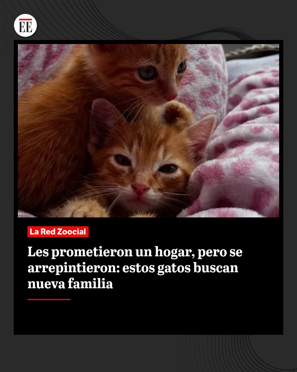 El Espectador tweet media