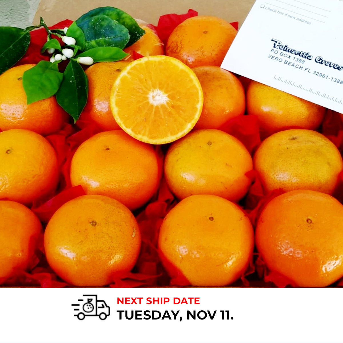 Start making your lists. #poinsettiagroves