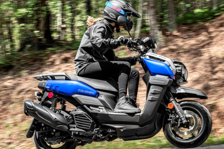 0xVeniVidiVici 🦇🔊 tweet media