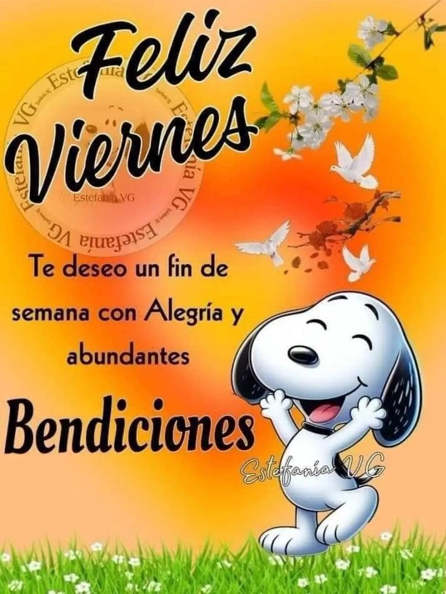 Buenas tardes 🤗
Bendecido viernes