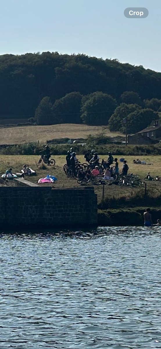 Steve Smith tweet media