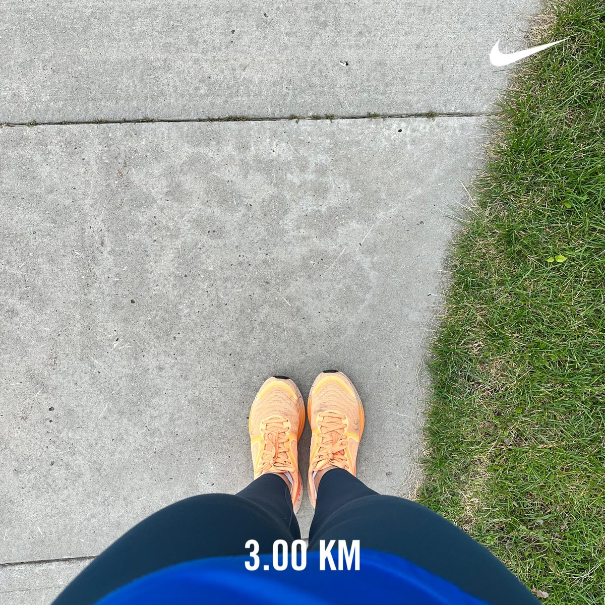 Last shake out tempo run before the race on Sunday. Ran around 10Kish pace, stopped at 3K and walked about .4 KM home. Feeling alright. Rest day coming up tomorrow! ☁️⭐️💨🏃🏻‍♀️💪🏼 #yegvirtualrunningclub #yegrunning
