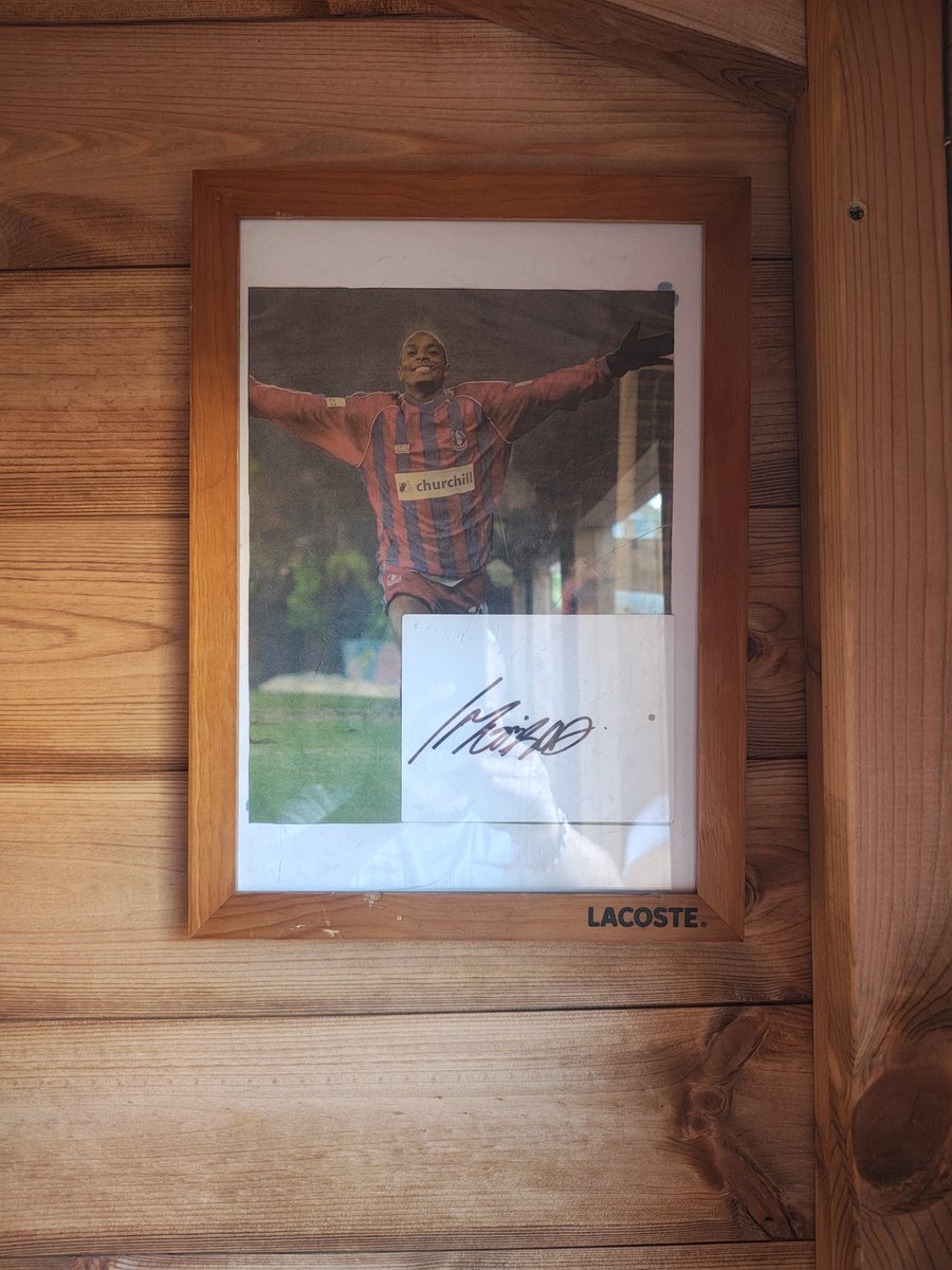 RedandBlueDave tweet media