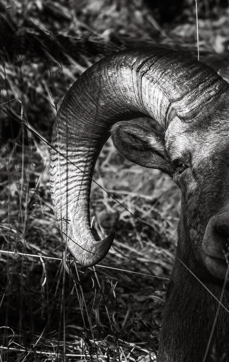 CoryVance97's tweet photo. @NikonUSA https://t.co/uKqSpTRkPP