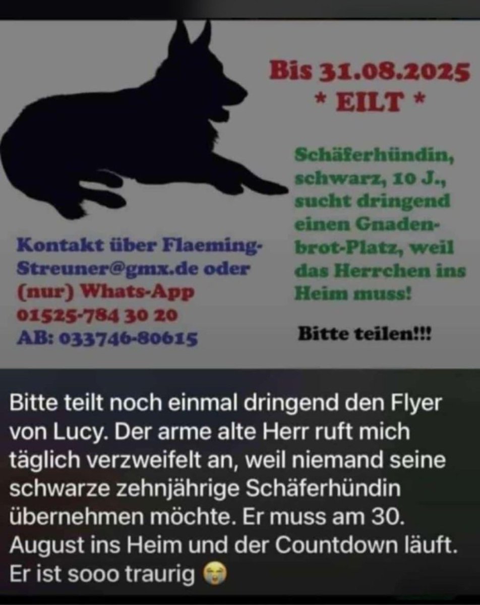 Teilt mal bitte, damit die Dame ein schönes neues Zuhause hat 🥰