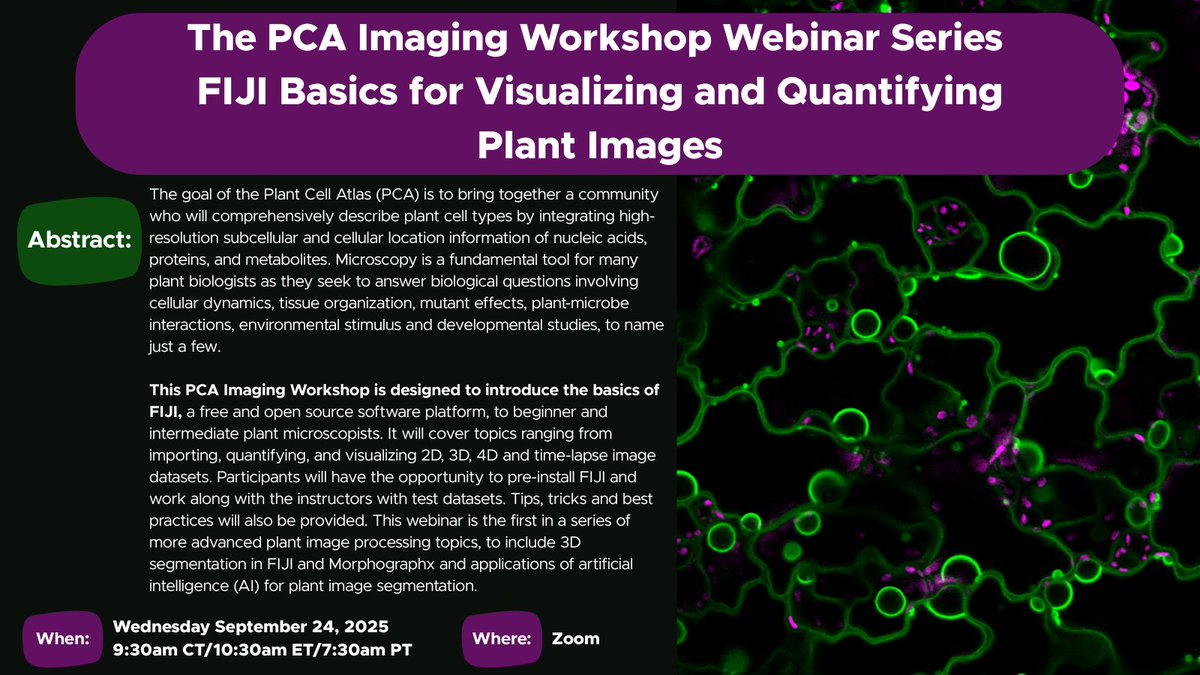 We are excited to announce the PCA Imaging Workshop Webinar Series: FIJI Basics for Visualizing and Quantifying Plant Images!

This workshop will be held on Wednesday, September 24, 2025 at 7:30am PT/9:30am CT/10:30am ET.

Register Now! bit.ly/45zJE7V