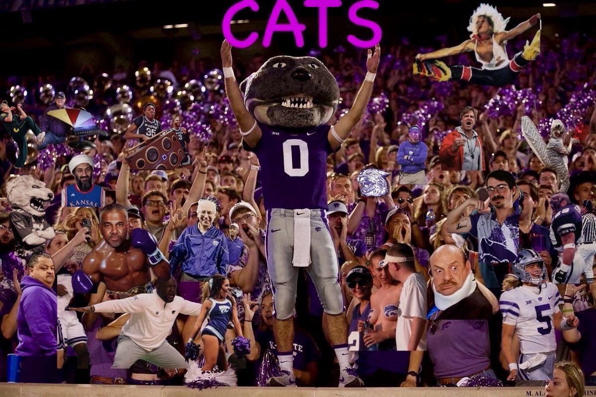 Cats!! Can’t wait for next Saturday!!