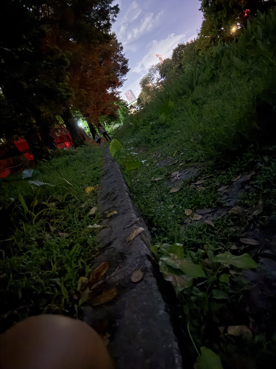 广诡实录 肆｜桥底凶零