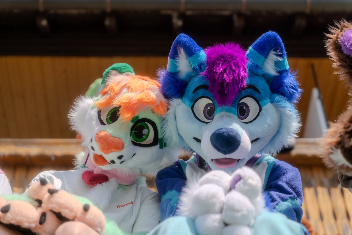 Leo Manchas~ (@manchasleo) on Twitter photo Psssst, <a href="/BluPuppyDrone/">Buckie The Drone</a> Would you know if the picture is already taken? I need to post for #fursuitfriday
#furry #furries #photografur #photographer #dutchfur #netherlands #furryfandom #fandom #sony #sigma #suiter #fursuiter Psssst, <a href="/BluPuppyDrone/">Buckie The Drone</a> Would you know if the picture is already taken? I need to post for #fursuitfriday
#furry #furries #photografur #photographer #dutchfur #netherlands #furryfandom #fandom #sony #sigma #suiter #fursuiter