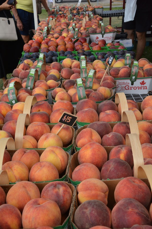 🍑 Fun for all ages at the <a href="/WinonaPeachFest/">WinonaPeachFest</a>! 🎡 Enjoy rides, Arts &amp; Crafts exhibits, and visit our Community Area. 🍽️ Savor peachy treats in the Food Court! 🚌 FREE shuttle from Eastgate Square to festival grounds!