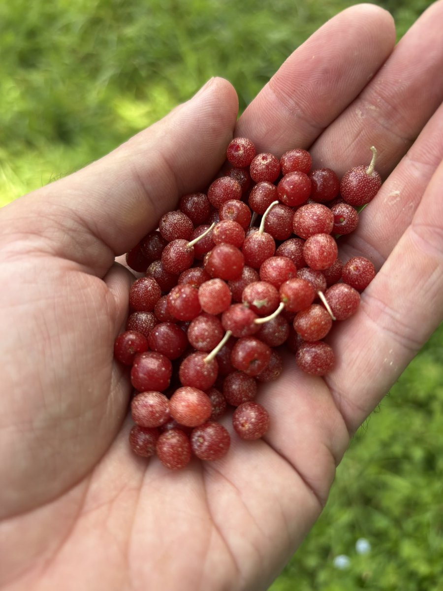 Jason Snyder tweet media