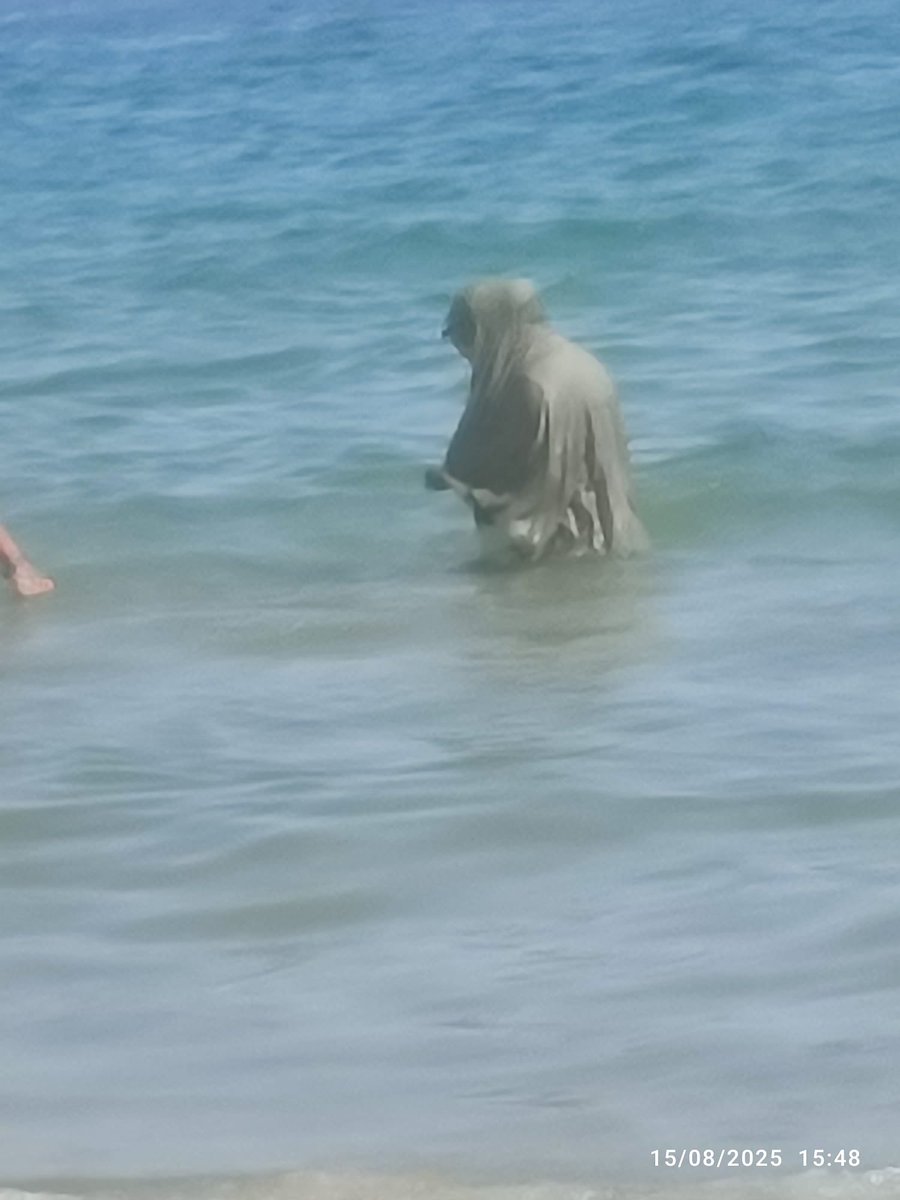 Voilà cet après-midi sur la plage de Cannes, ce spectacle affligeant me désespère. Comment accepter ça ?
Et le pire c’est qu’ils étaient nombreux