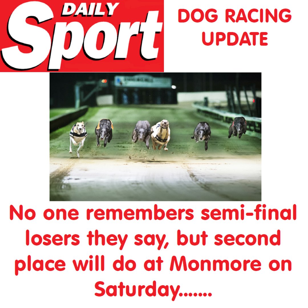 The Daily Sport (@daily_sport) on Twitter photo NO-ONE remembers semi-final losers they say, but second place will do at Monmore on Saturday!
dailysport.co.uk/sport/greyhoun…
#FridaySport #WeekendSport #TheSport #DailySport #DogRacing #Greyhounds #TheDogs #LiveRacing #Betting #TheRaces #Tips
<a href="/GTTDPodcast/">Gone To The Dogs</a> <a href="/Monmoredogs/">Monmore Green Stadium</a> NO-ONE remembers semi-final losers they say, but second place will do at Monmore on Saturday!
dailysport.co.uk/sport/greyhoun…
#FridaySport #WeekendSport #TheSport #DailySport #DogRacing #Greyhounds #TheDogs #LiveRacing #Betting #TheRaces #Tips
<a href="/GTTDPodcast/">Gone To The Dogs</a> <a href="/Monmoredogs/">Monmore Green Stadium</a>