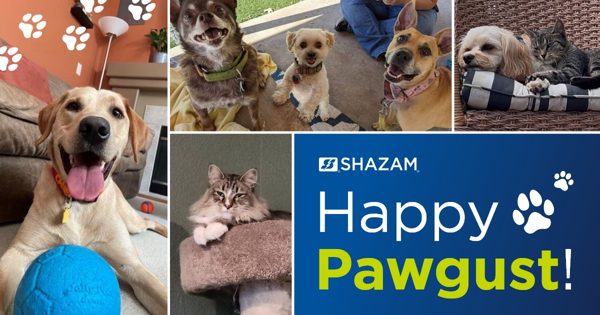 It's officially Pawgust! This month, we'd like to give a shoutout to all our wonderful pet parents here at SHAZAM. Do you have a furry family member? Comment a photo below and tell us about your furry friend.