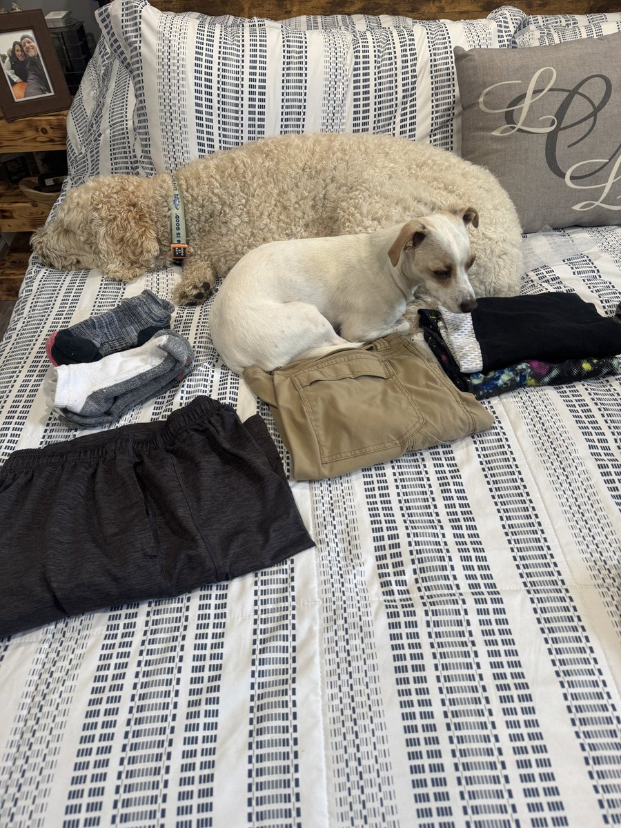 Laura Corey tweet media