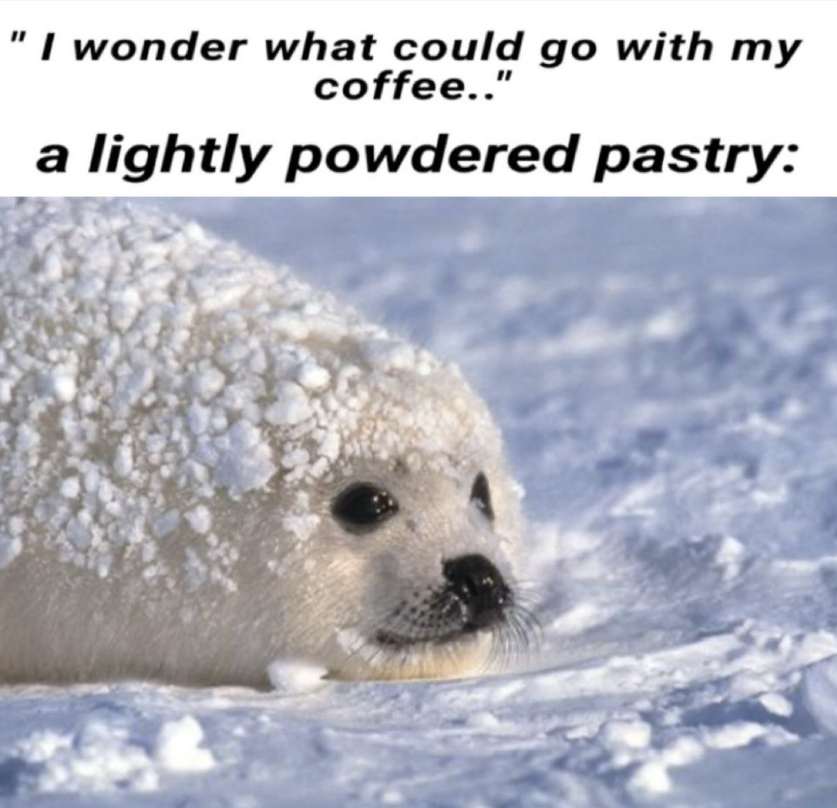 Sqeez 🍓🍉🦭 (@sqeezohwell) on Twitter photo 