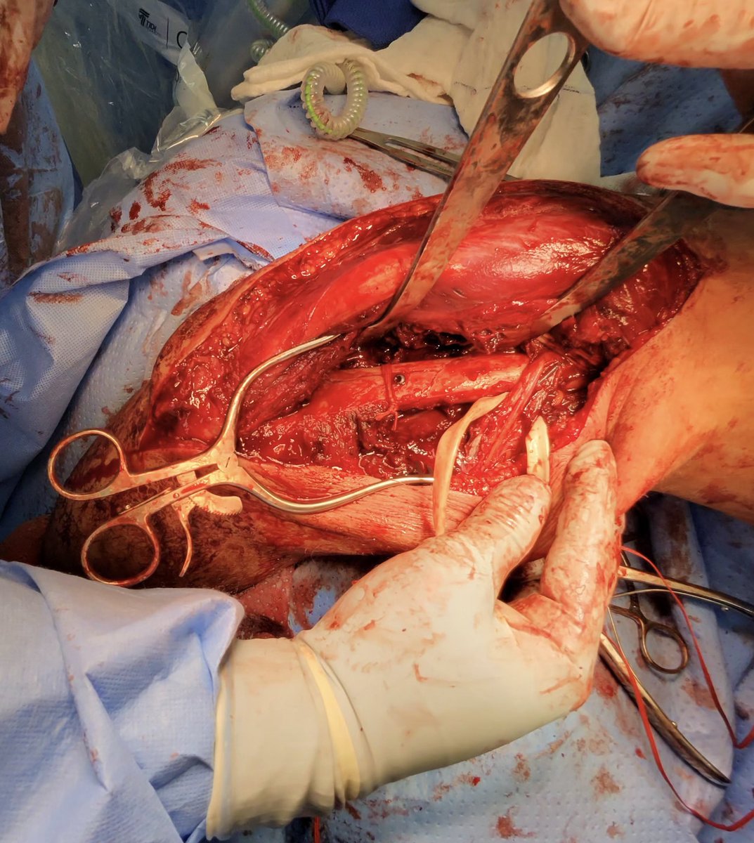 Midhat Patel, MD tweet media