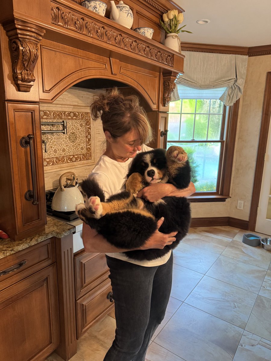 kilmeade's tweet photo. America - meet Bear! https://t.co/BWS3VkM2QY