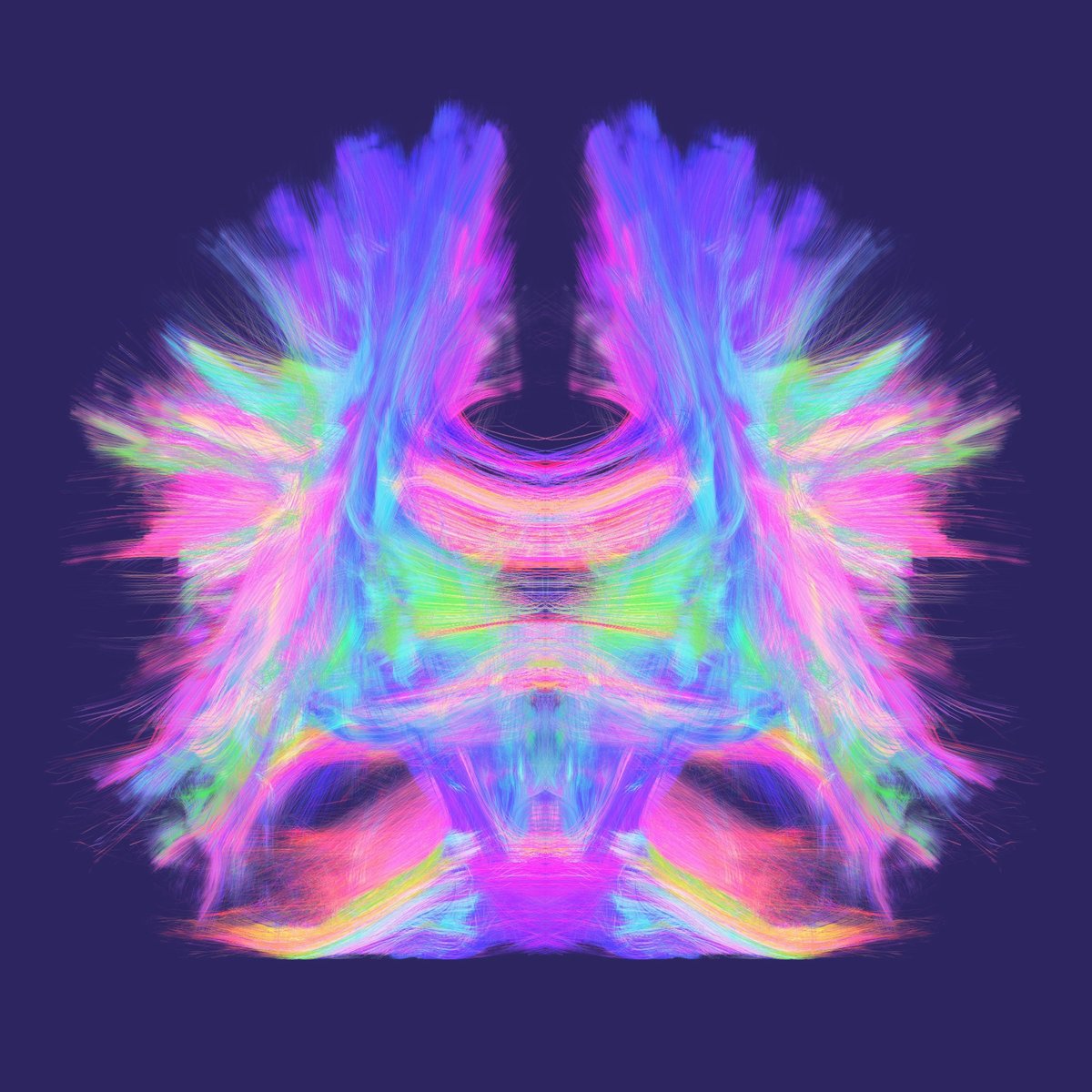 Common (@commondotxyz) on Twitter photo This is what community-driven science looks like 🧬
<a href="/Cerebrum_DAO/">Cerebrum DAO 🧠</a> just proposed <a href="/BioProtocol/">Bio Protocol</a> funding for $CLAW— enhancing a 154-subject clinical trial with advanced biomarker testing.
Testing a brain health supplement that could impact millions affected by memory loss.
Join This is what community-driven science looks like 🧬
<a href="/Cerebrum_DAO/">Cerebrum DAO 🧠</a> just proposed <a href="/BioProtocol/">Bio Protocol</a> funding for $CLAW— enhancing a 154-subject clinical trial with advanced biomarker testing.
Testing a brain health supplement that could impact millions affected by memory loss.
Join
