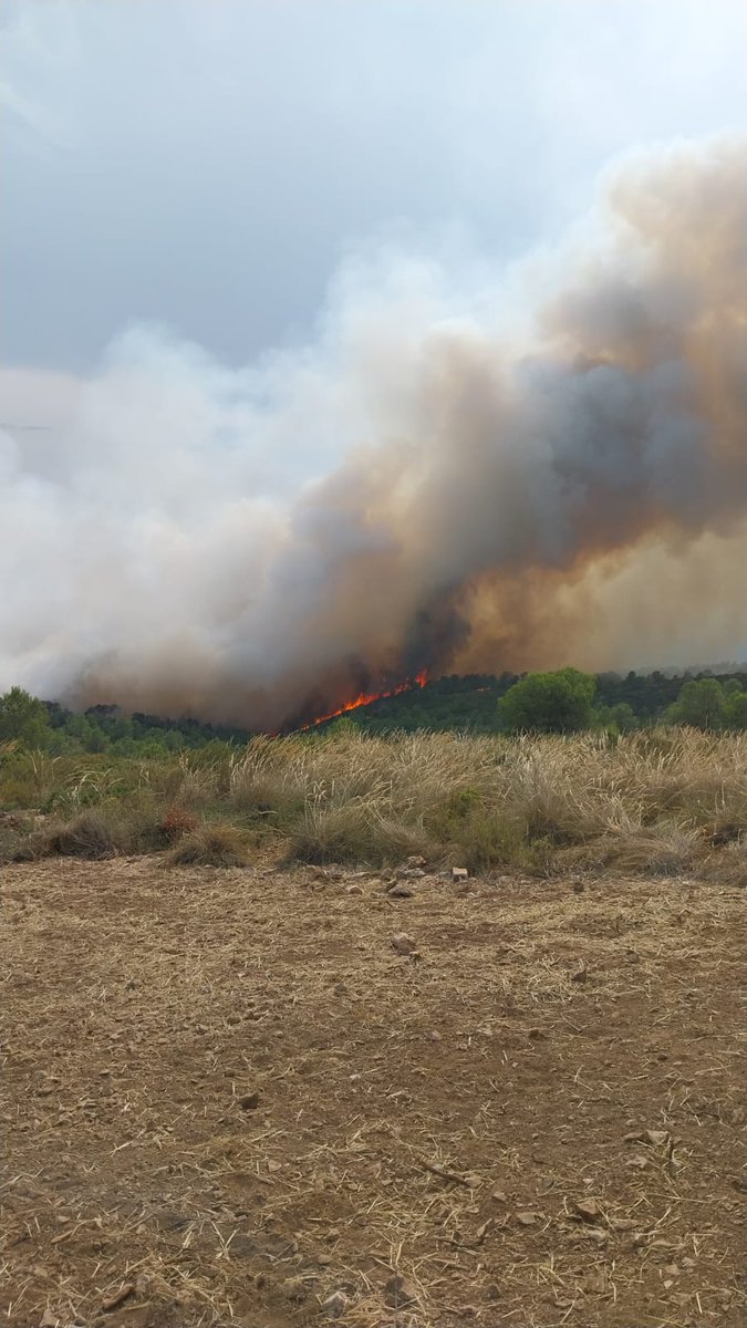 gprontoauxilio's tweet image. En las últimas horas hemos sufrido varios incendios forestales en nuestras montañas. El miércoles participamos en el #IFEnguera y a nuestro regreso dimos aviso del #IFTeresaDeCofrentes. 15 voluntarios y 3 vehículos han participado en la extinción de ambos incendios. 
#voluntarios