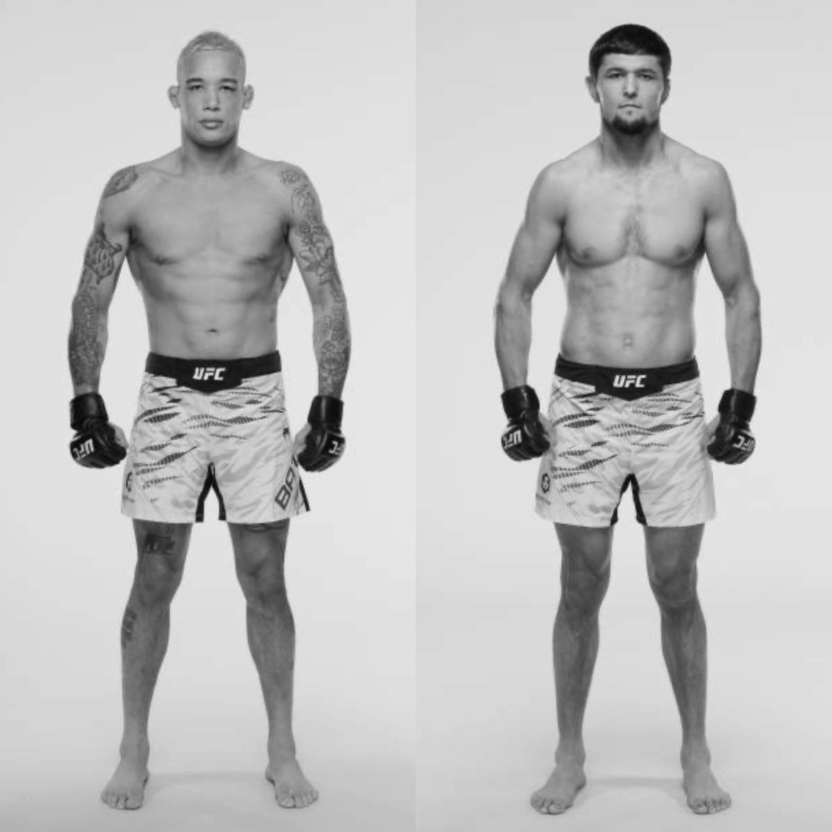 MMA Orbit tweet media