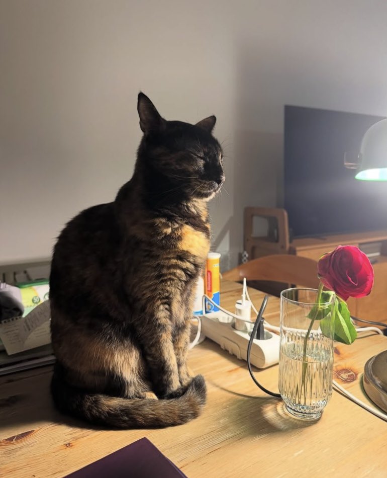 We stan a photogenic queen 🌹