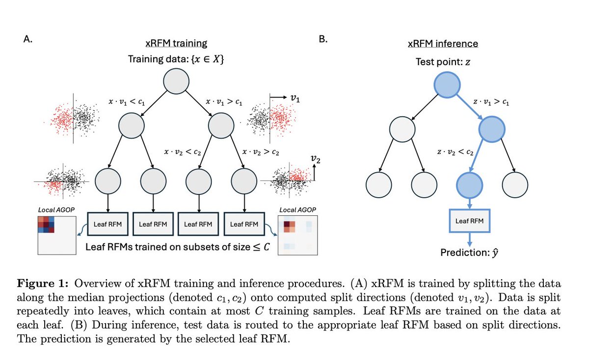 Daniel Beaglehole tweet media