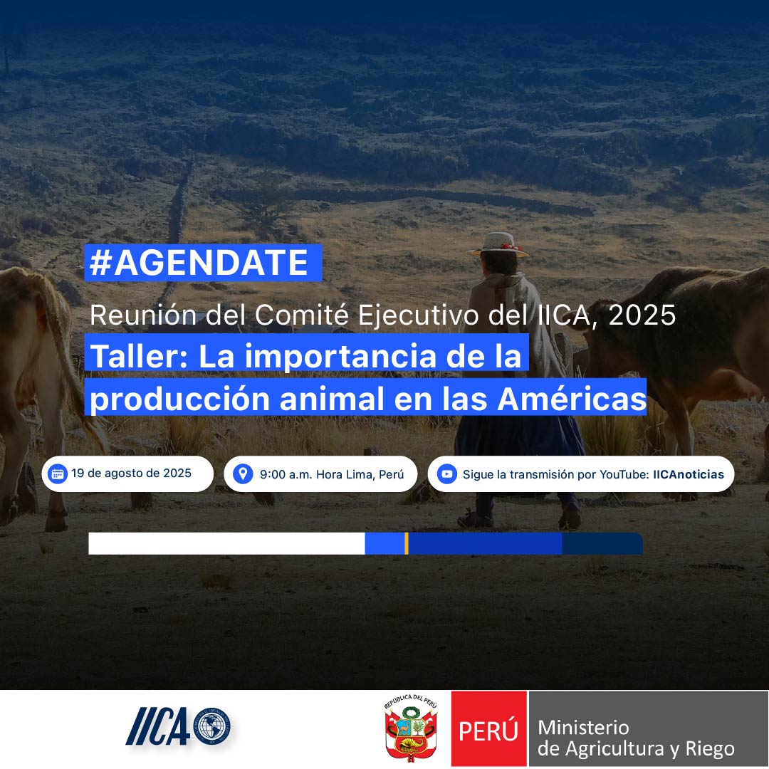 IicaPeru's tweet photo. 📢 ¡Agéndalo, Perú! 🇵🇪
🐄 Taller: La importancia de la producción animal en las Américas 🌎
🗓 19 de agosto de 2025 | ⏰ 9:00 a.m. (Hora Lima)
✅ Reunión del Comité Ejecutivo del IICA 2025
▶️ Transmisión en vivo:  IICAnoticias

🔗 https://t.co/CiJXWGvjI8
🙌 ¡Conéctate y no te lo pierdas!

#IICA #ProducciónAnimal #ComitéEjecutivoIICA #Ganadería #DesarrolloRural #Américas
