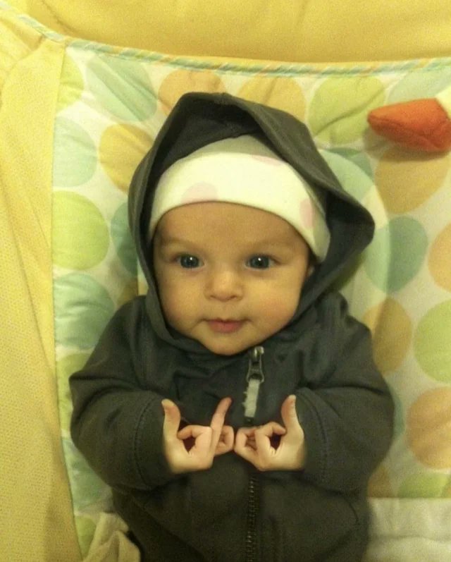 🙃 (@mega_erection) on Twitter photo 