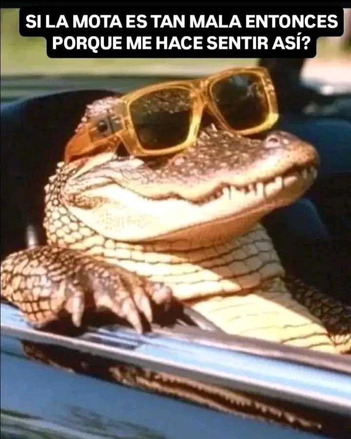 Ku$h Station (@kushstation1) on Twitter photo 