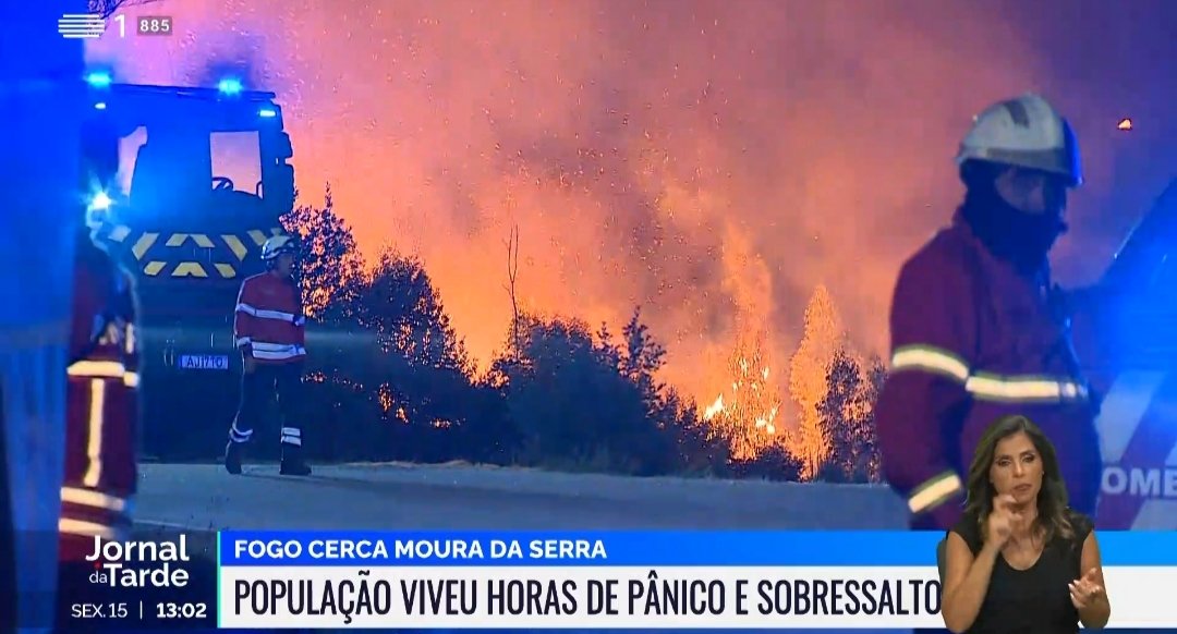 42 detidos por fogo posto. 
42, desde janeiro de 2025, só estamos em Agosto .
54,2 % dos fogos são ou de uso indevido de fogo ou por mão criminosa.
Bombeiros esgotados.
Ano após ano os afetados são por norma os mesmos.

Nada muda ! 

Para o ano volta tudo ao mesmo.