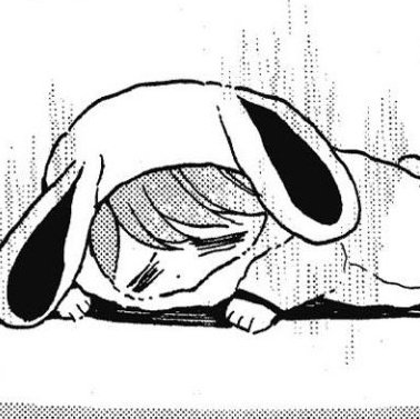 쥐 tweet media