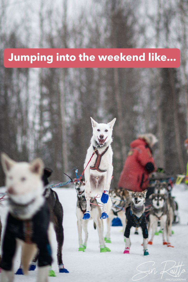 Jumping into the weekend like.... 

📷 Siri Raitto  |  siriratto.com