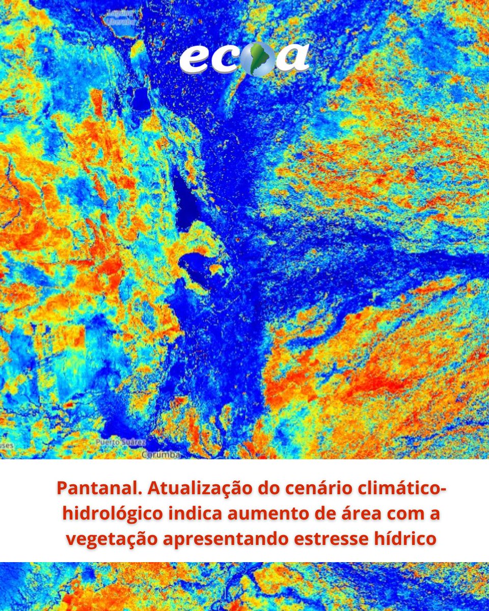 Monitoramento do Pantanal: imagens do satélite Sentinel-2 mostram que o estresse hídrico da vegetação vem se expandindo.

Leia a análise completa de Fernanda Cano e Alcides Faria - responsáveis pela área de mudanças climáticas na Ecoa:

ecoa.org.br/pantanal-atual…