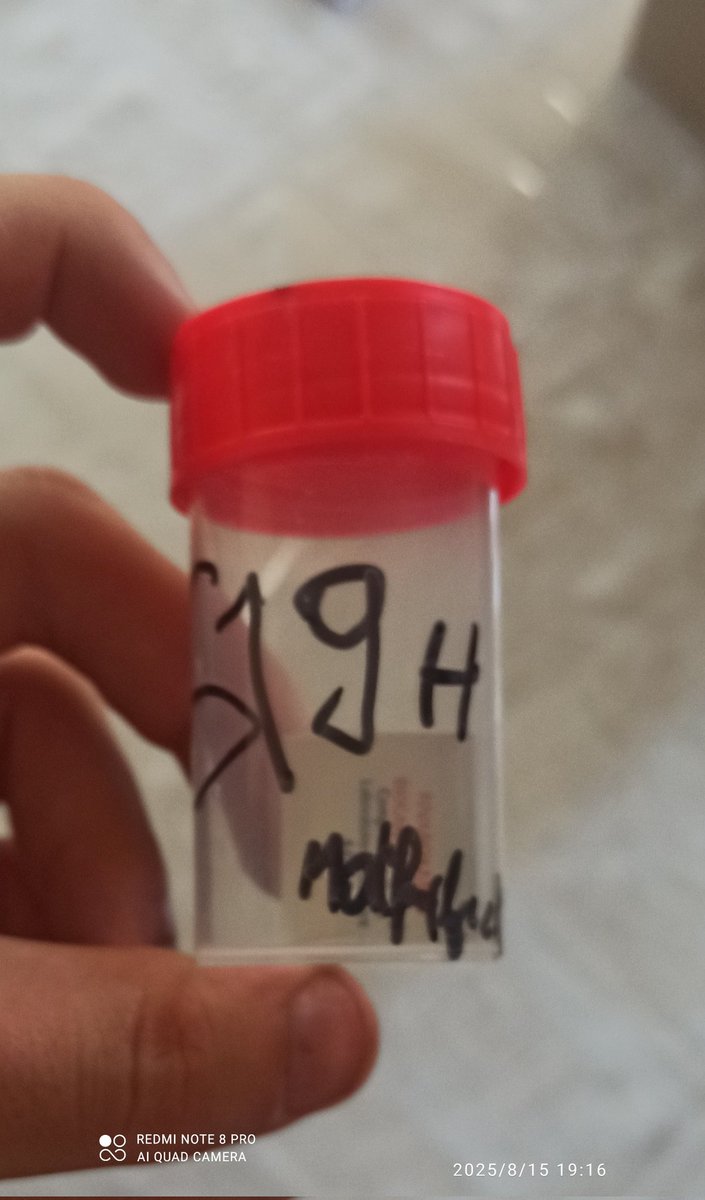 Quand je prépare les médocs pour la daronne 😂