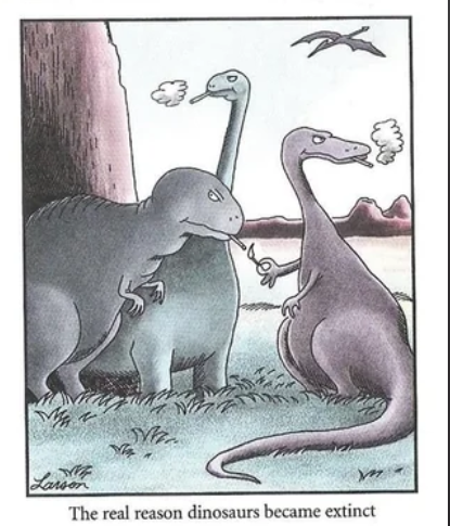 Leslie Eastman ☥ tweet media