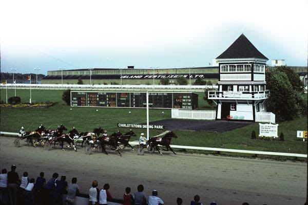 The 66th Gold Cup &amp; Saucer will be raced Saturday night at Red Shores in Charlottetown.
Today we remember the great Mike MacDonald (PEISHOF 2009) who won a record 5 Cup &amp; Saucers between 1975 &amp; 1995. Mike passed away in 2018 at age 70 but his memory lives on.