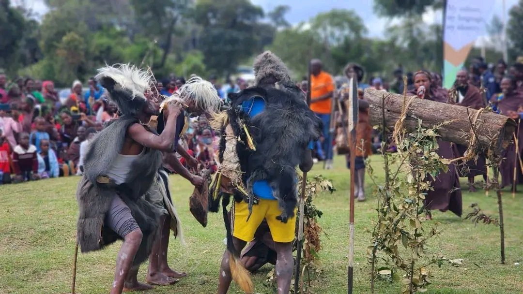 Joined our Ogiek community for a vibrant cultural celebration at Nkareta, Narok, an event that showcased diverse talents, featured rich Ogiek discussions, and charted our way forward together.