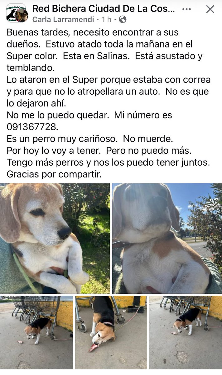 Adriana (@adriana43587622) on Twitter photo 