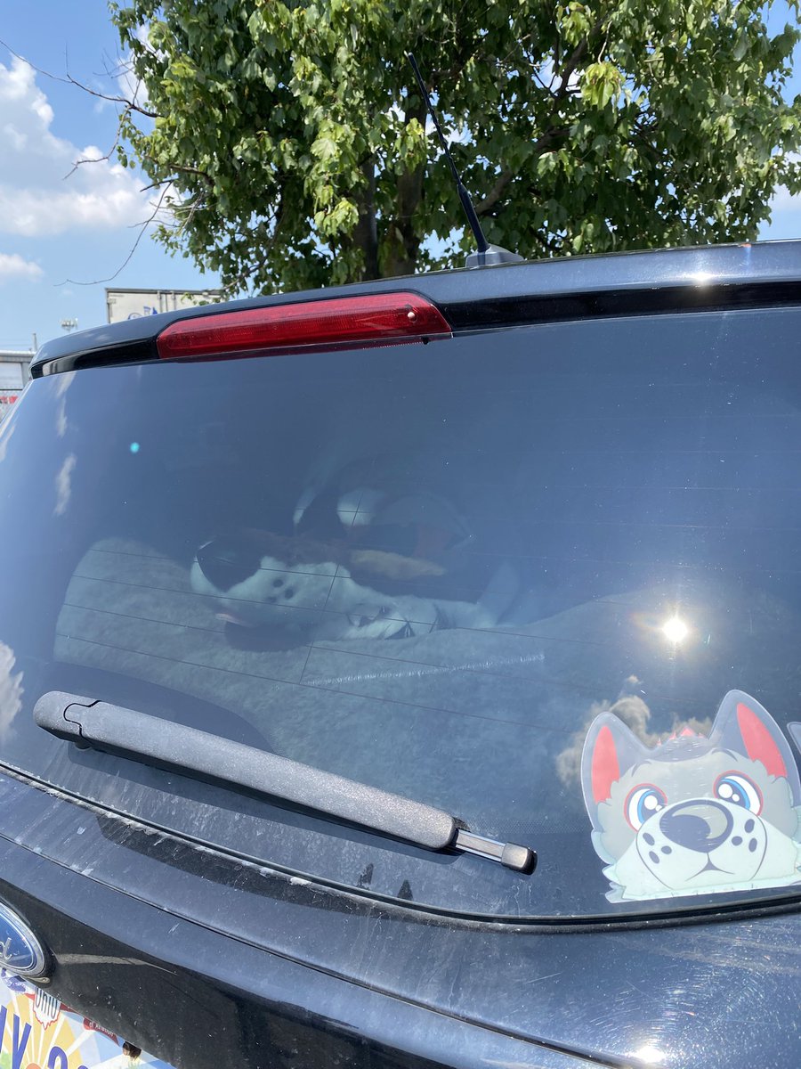 The A/C is NOT on, he has NO water, he’s listening to NO music, and it’s 100° outside. My dog is OKAY!