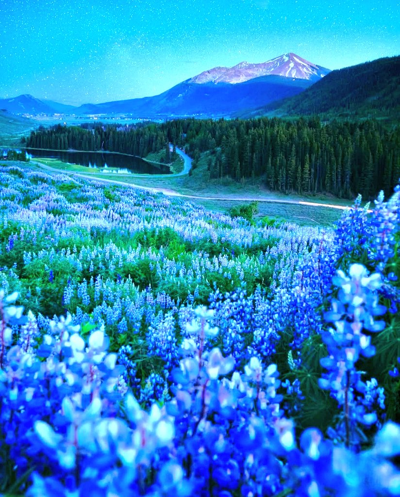 #Japan #Uruguay #Croatia