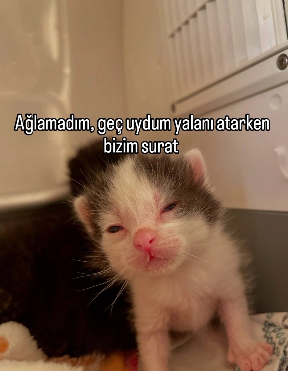 ANLIK (@anlikmod) on Twitter photo 