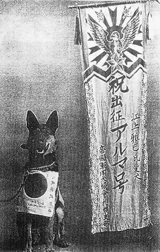 ShinjukuSokai's tweet photo. この子たちは一体どんな気持ちで出征していったんだろうな。
まさか爆弾を背負う事になるなんてわからないだろうし旅行気分で出て行ったのかな。
供出された犬や猫のご冥福をお祈りします。 https://t.co/h2IePgP53o