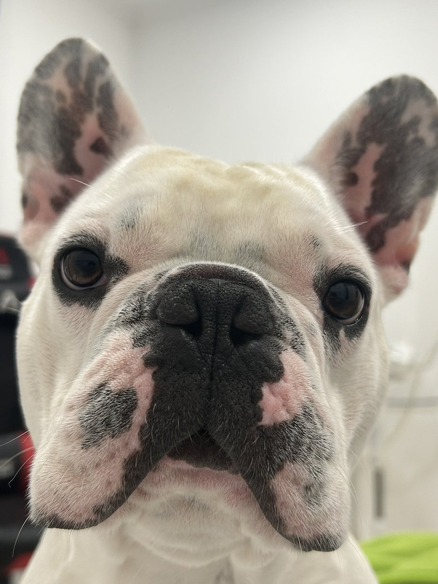 ftncrazy tweet media